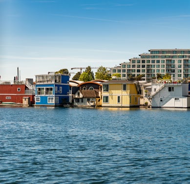 Marina on the North Shore